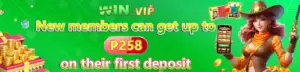 WINVIP