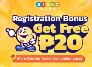 binggo plus review 2