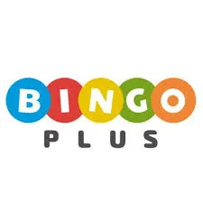 binggo plus review