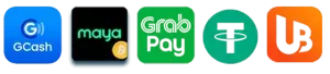payment-300x68
