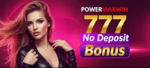 powermaxwin